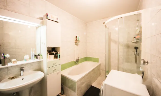 Недвижимость Трёхкомнатная квартира Новая Любляна Бежиград: 18