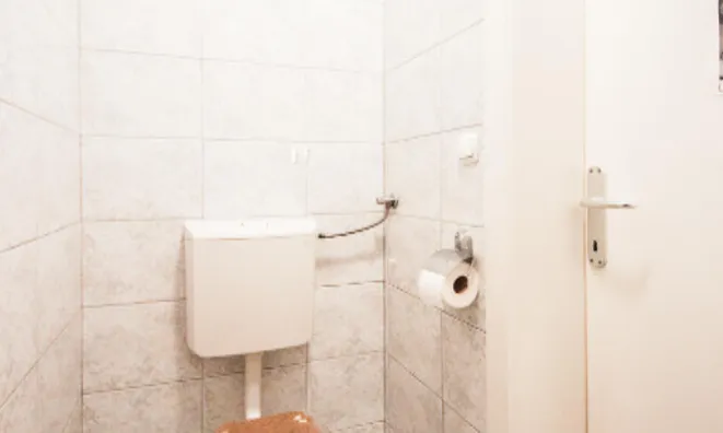 Недвижимость Трёхкомнатная квартира Новая Любляна Бежиград: 19