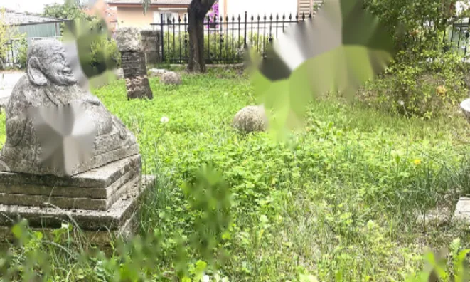 Недвижимость Четырехкомнатная квартира Изола: 2