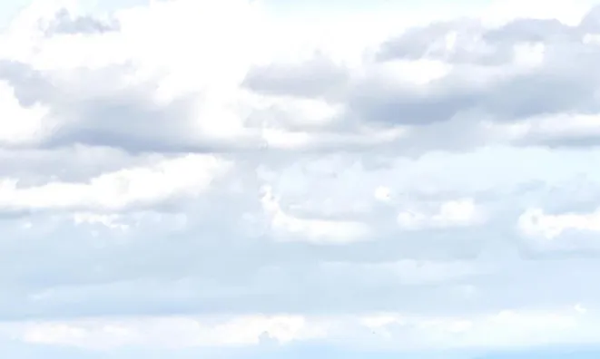 Недвижимость Четырехкомнатная квартира Изола: 13