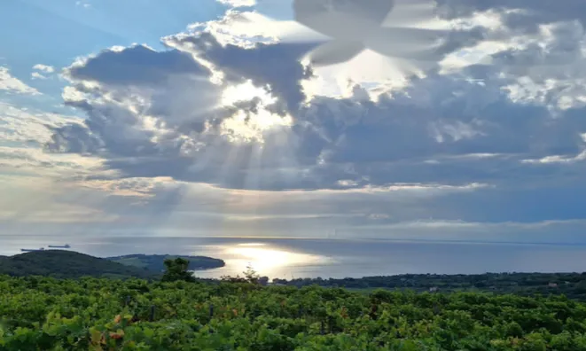 Недвижимость Двухкомнатная квартира Коломбан: 2