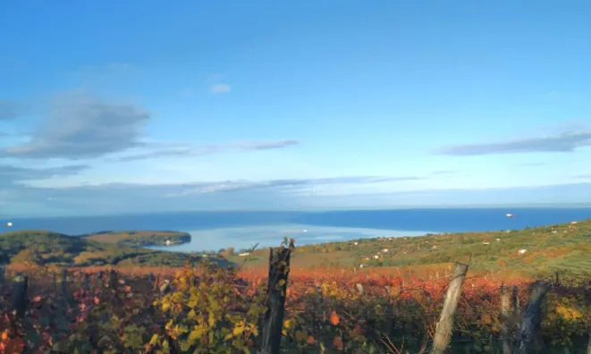 Недвижимость Двухкомнатная квартира Коломбан: 24