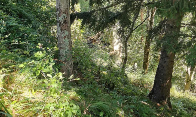 Недвижимость Участок, Кметияново Доблар, на солнечном краю плато.: 10