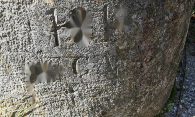 Недвижимость Участок, Кметияново Доблар, на солнечном краю плато.: 12