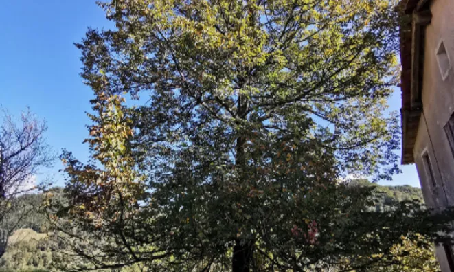 Недвижимость Участок, Кметияново Доблар, на солнечном краю плато.: 17