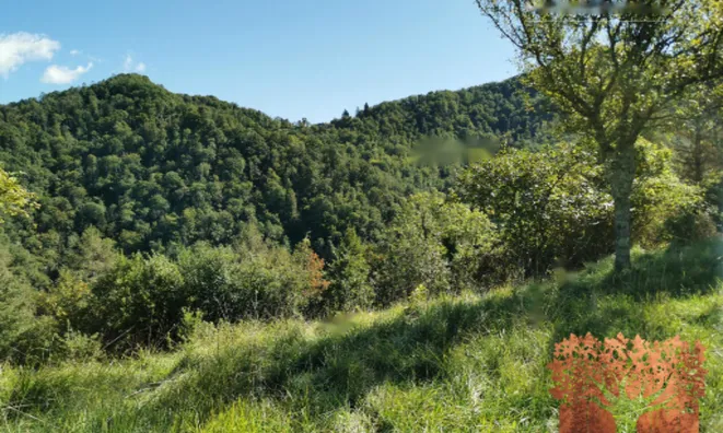 Недвижимость Участок, Кметияново Доблар, на солнечном краю плато.: 19