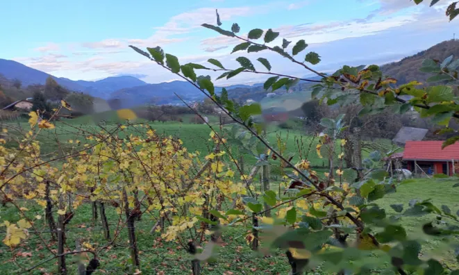 Недвижимость Дом, Бели-Поток-при-Лембергу: 6