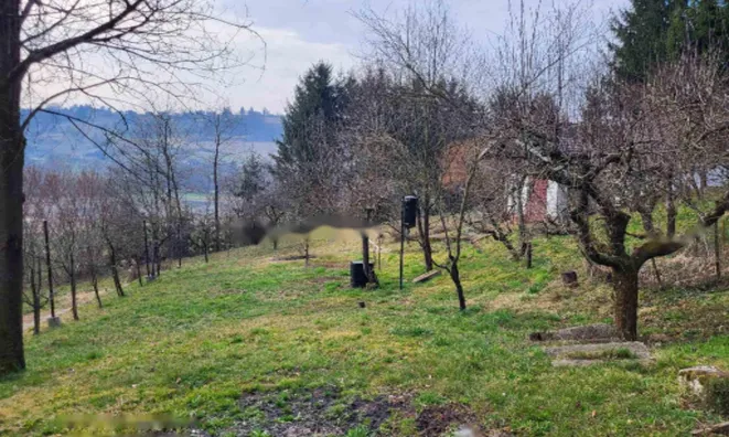 Недвижимость Дом, Рыавица: 18