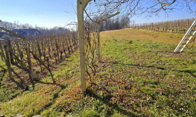 Недвижимость Дуплекс Сухой Врх: 72