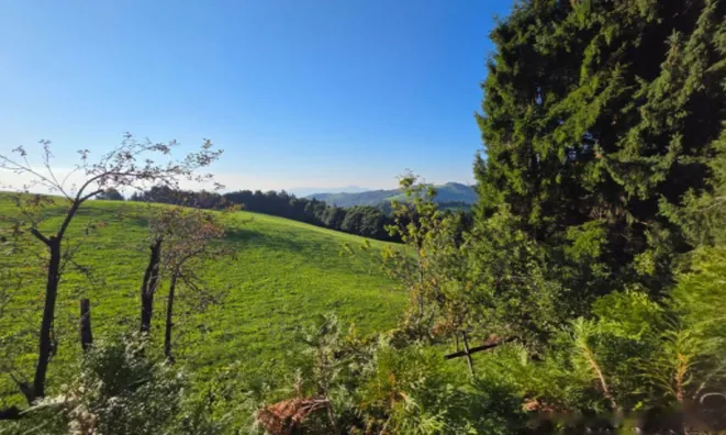 Недвижимость Дом, Планица: 18