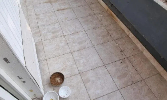 Недвижимость Квартира 3,5 комнаты Косезе: 2