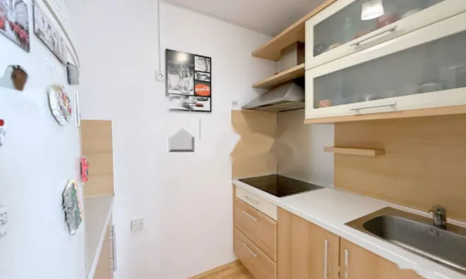 Недвижимость Квартира, 1-комнатная Ново Рудник: 5