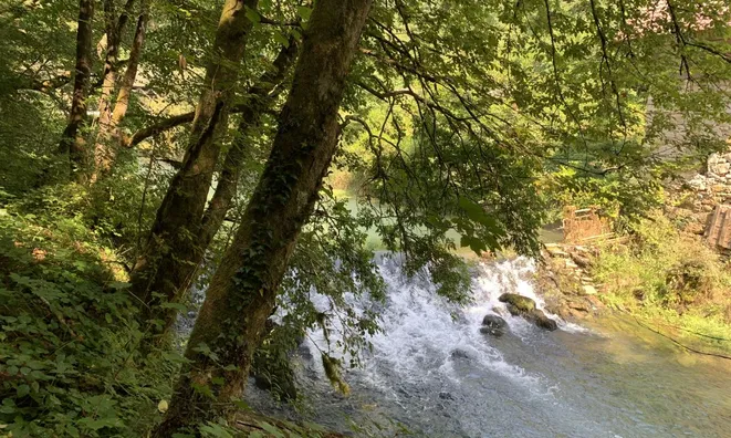 Недвижимость Поместье «Старая мельница на реке Крупа»: 5