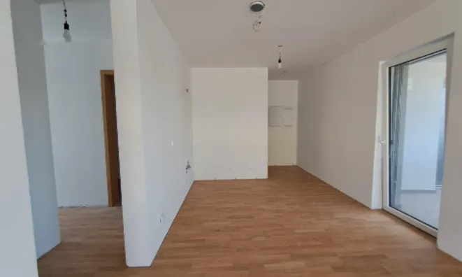 Недвижимость Четырехкомнатная квартира в Бежиграде: 6