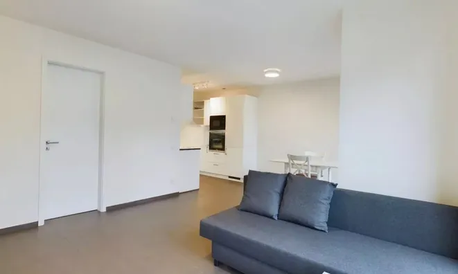 Недвижимость Apartment 1 bedroom for sale in Luxembourg-Merl: 7