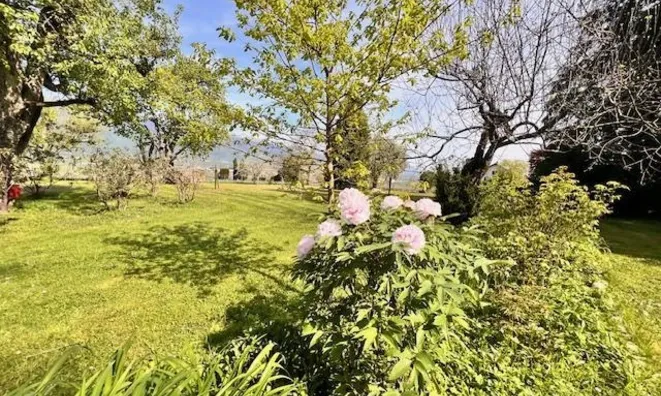 Недвижимость Single house 16 rooms: 6