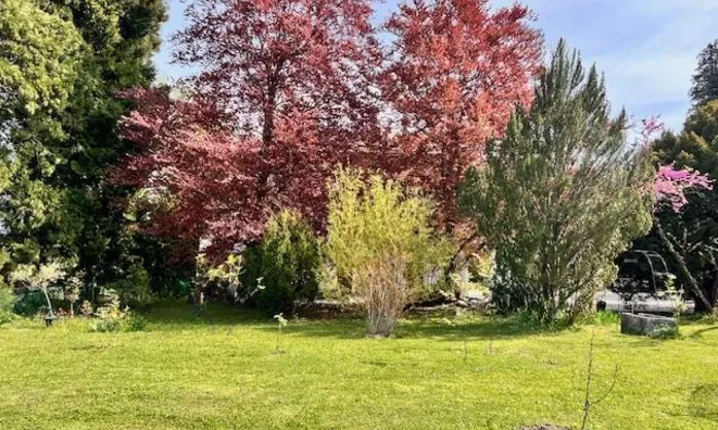 Недвижимость Single house 16 rooms: 8