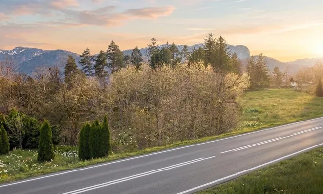 Недвижимость Участок для инвестиций Новый Блед: 1