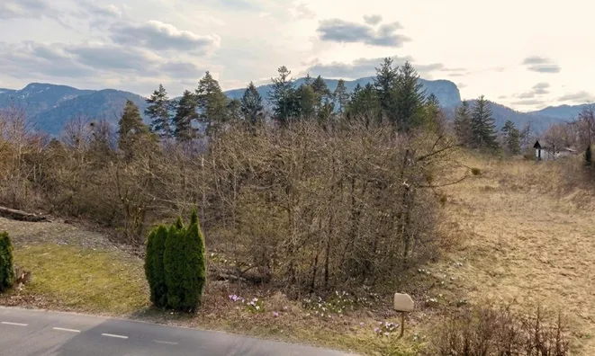 Недвижимость Участок для инвестиций Новый Блед: 2