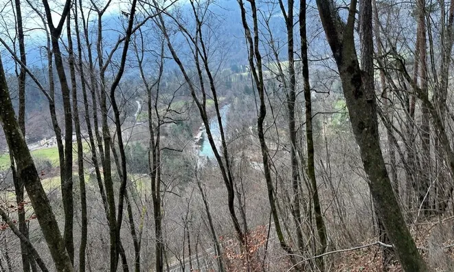 Недвижимость Участок для инвестиций Новый Блед: 3