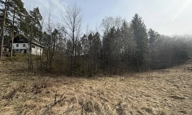 Недвижимость Участок для инвестиций Новый Блед: 4