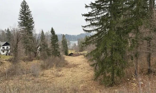 Недвижимость Участок для инвестиций Новый Блед: 5