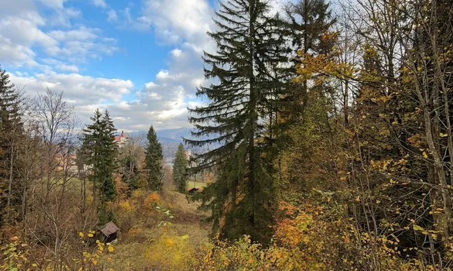 Недвижимость Участок для инвестиций Новый Блед: 6