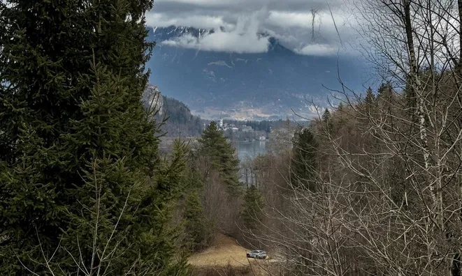 Недвижимость Участок для инвестиций Новый Блед: 7