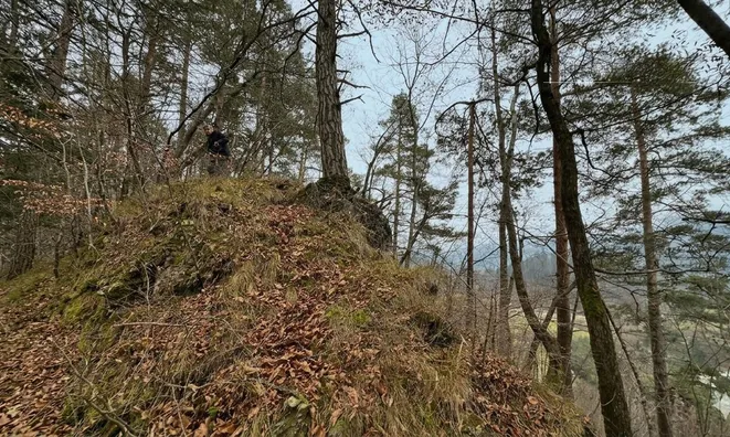Недвижимость Участок для инвестиций Новый Блед: 8