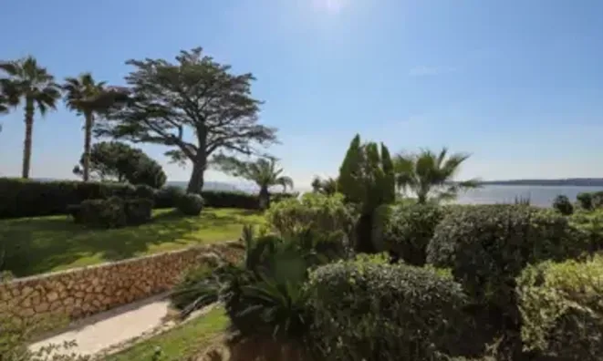 Недвижимость House Cannes Centre-Ville: 3