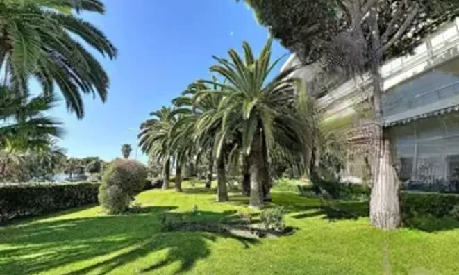 Недвижимость Property Cannes: 12