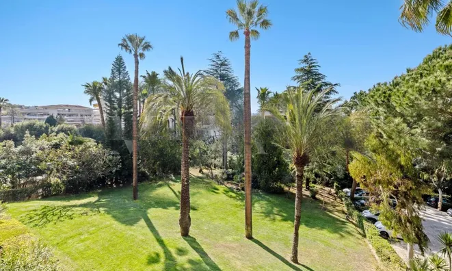 Недвижимость Villa Pointe Croisette: 18