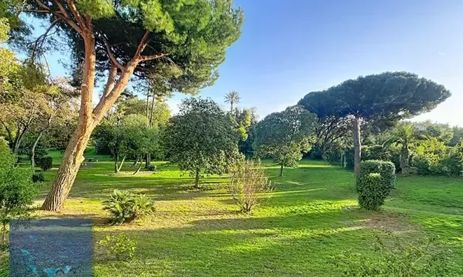 Недвижимость House Pointe Croisette: 10