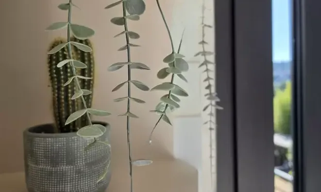 Недвижимость Villa Petit Juas: 19