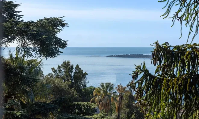 Недвижимость Villa Cannes Californie: 3