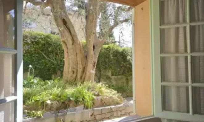 Недвижимость Villa Cannes: 11