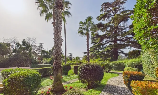 Недвижимость Villa Californie: 3