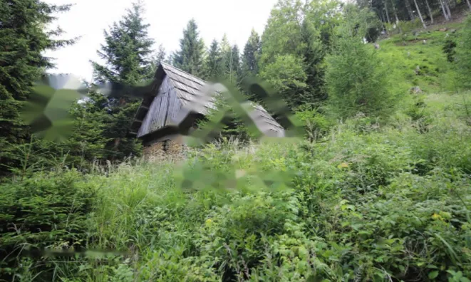 Недвижимость Дом, Довье: 4