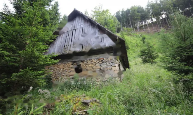 Недвижимость Дом, Довье: 6