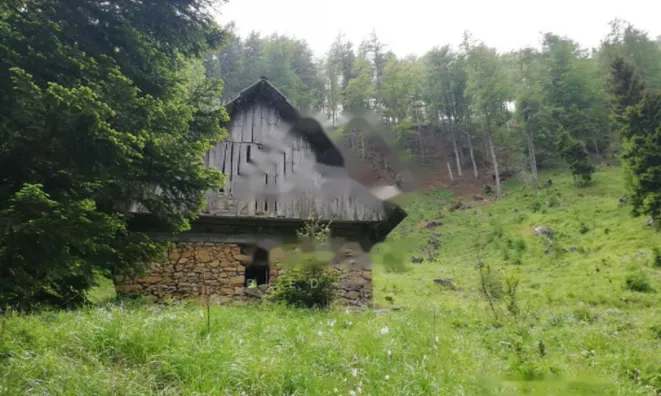 Недвижимость Дом, Довье: 7