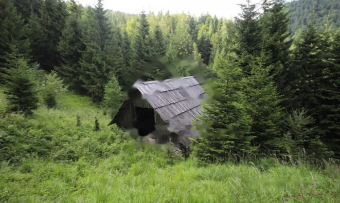 Недвижимость Дом, Довье: 11