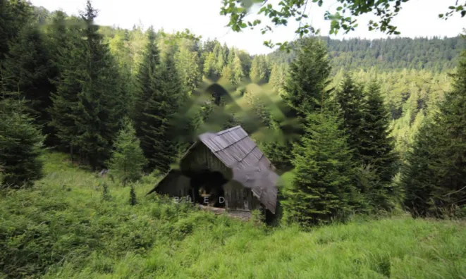 Недвижимость Дом, Довье: 12