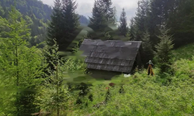 Недвижимость Дом, Довье: 15