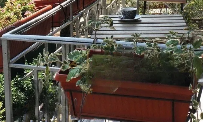 Недвижимость Трехкомнатная квартира в центре: 12