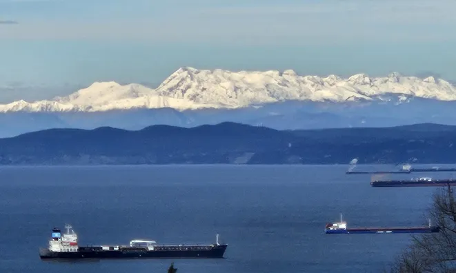 Недвижимость Дом с террасой Новый Копер: 13