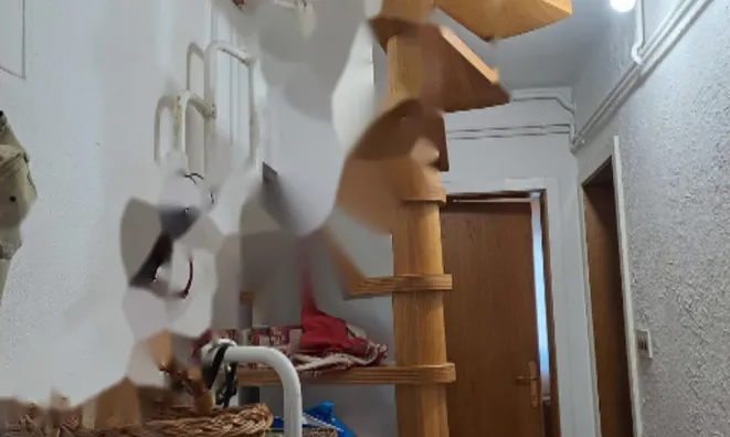 Недвижимость Квартира, 3-комнатная Трново: 2