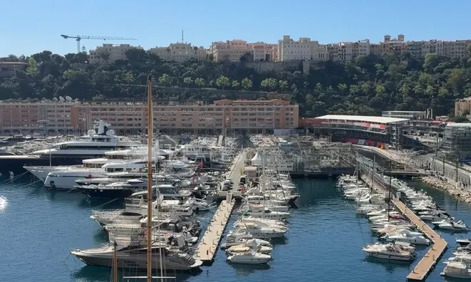 Недвижимость Apartment Monaco, Port: 15