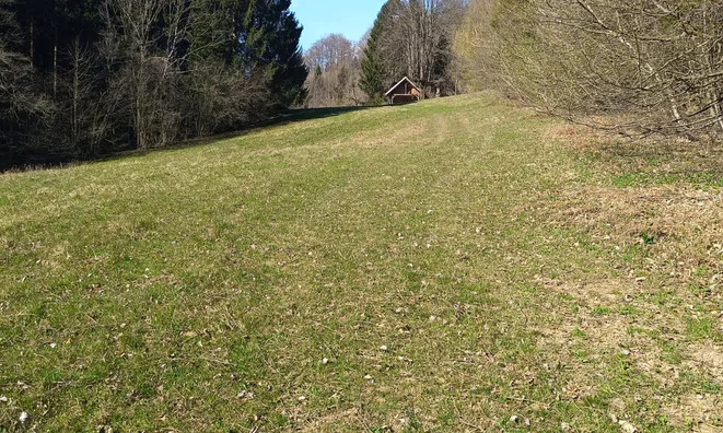 Недвижимость Земельный участок Нижнее Горье: 2