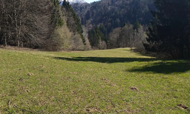 Недвижимость Земельный участок Нижнее Горье: 3