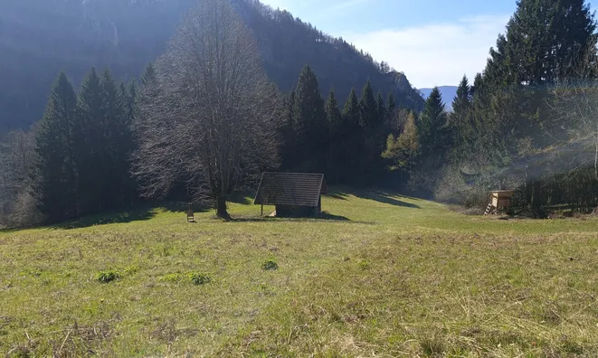 Недвижимость Земельный участок Нижнее Горье: 4